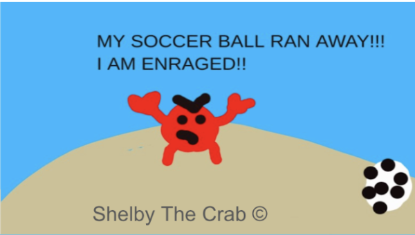 Digital Soccer Shelby